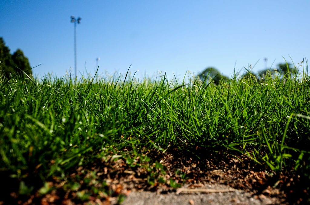 18.05.2020; Langenthal;  News; Spatenstich Rankmatte;  (André Grossenbacher/FC Langenthal Official)